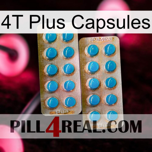 4T Plus Capsules new08.jpg